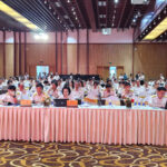 hinh anh 11