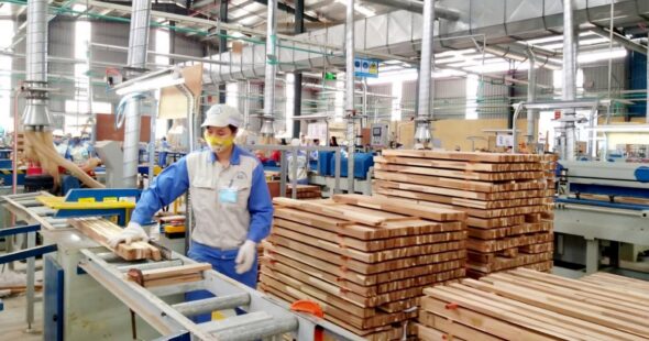 Home 117 US Tariffs Loom Over Vietnam’s Wood Industry: How Will Businesses Survive and Thrive in the Trump 2.0 Era?