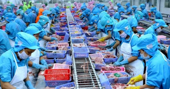 Home 93 Impact of Countervailing Tax: Vietnam’s Seafood Exports Are Slowing Down