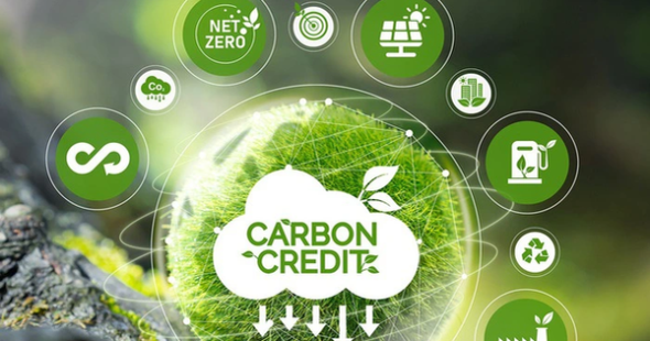 Home 121 Vietnam Launches Carbon Credit Exchange: The Green Launchpad for the FDI Wave
