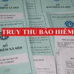 truy-thu-bhxh